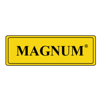 Magnum Welding